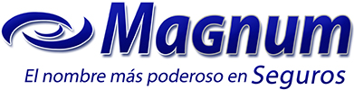 Magnum Insurance Agency